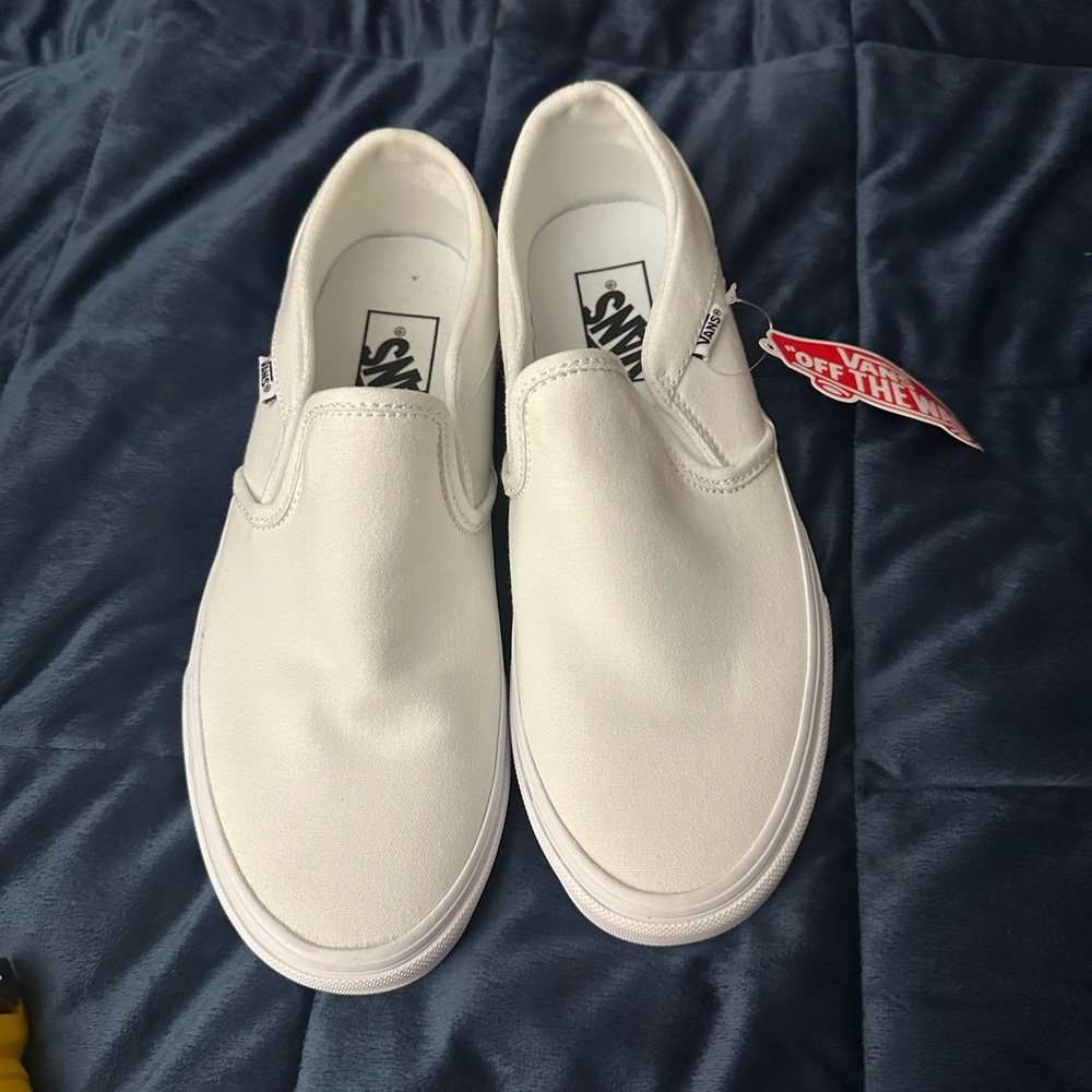 Vans Asher